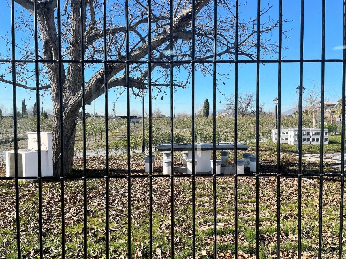 Complejo Rural Torres Y Navas Villa Granada Kültér fotó